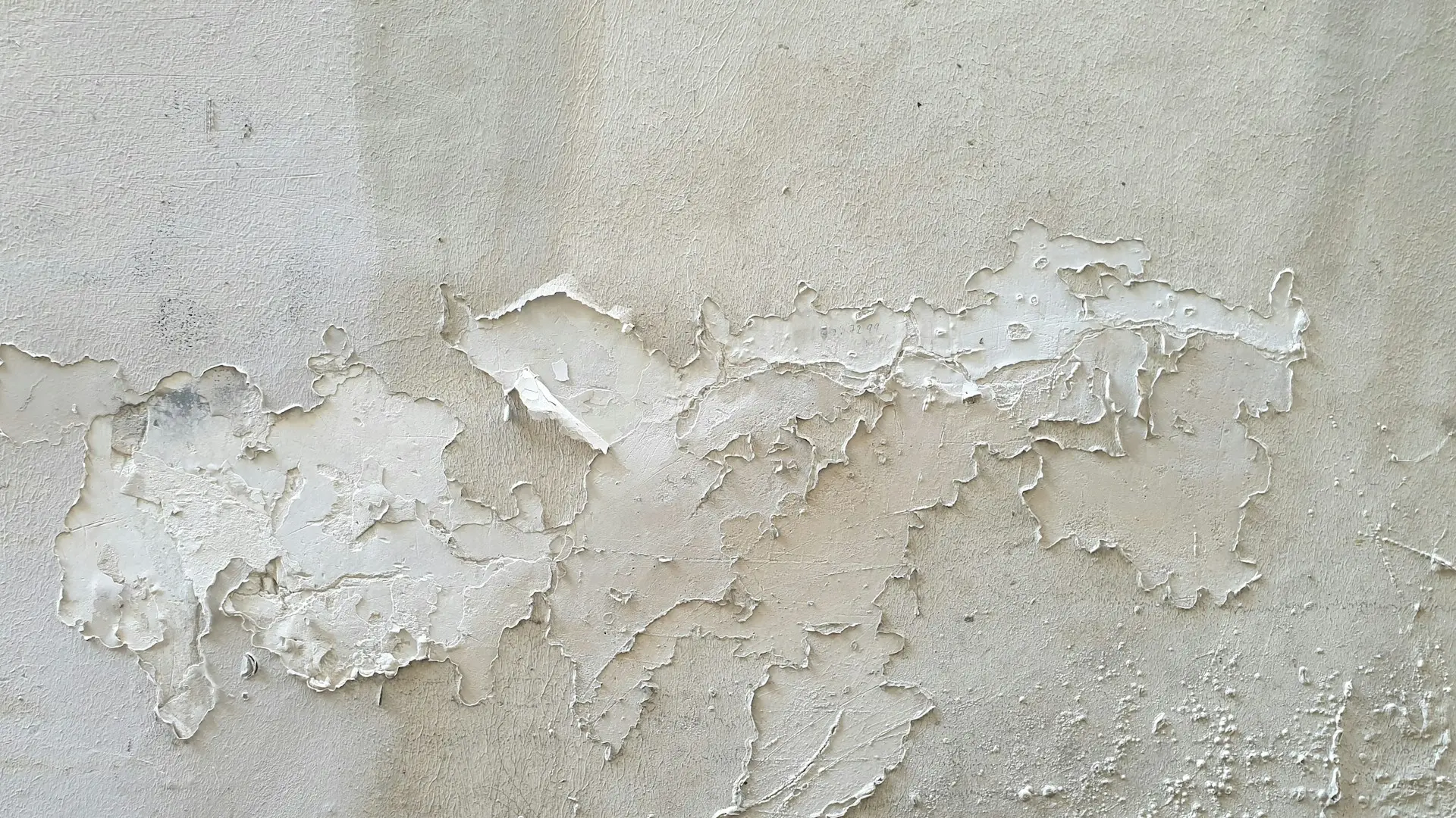 Office Paint Fails